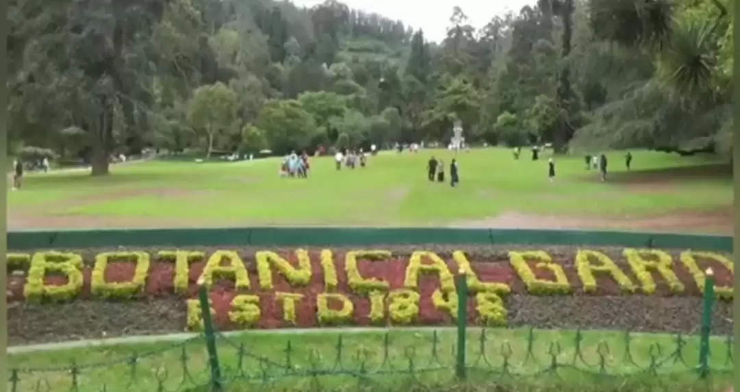 potanical garden