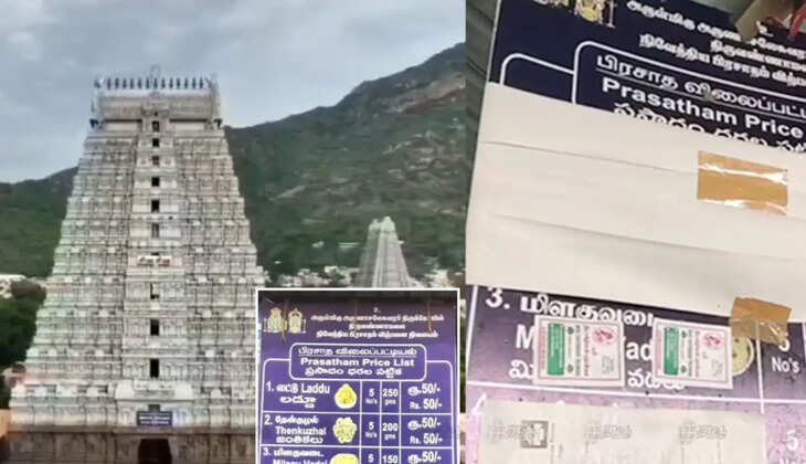 திருவண்ணாமலை