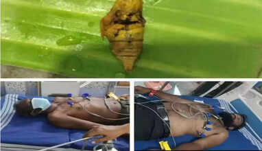 கரப்பான்பூச்சி