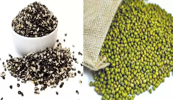 உலுந்து, பச்சை பயிறு