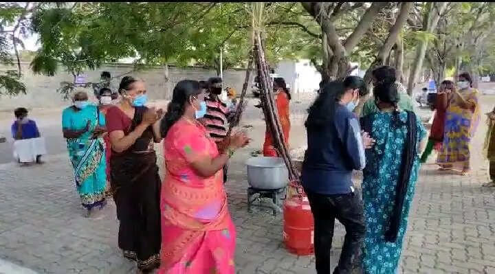 pongal
