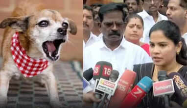 செல்லப்பிராணிகளுக்கு உரிமம் பெற்றுள்ளனரா என இன்று முதல் வீடு வீடாக சென்று ஆய்வு- மேயர் பிரியா