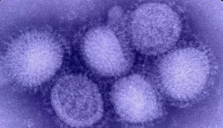 influenza virus