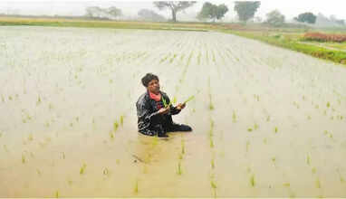 பயிர்கள் சேதம்