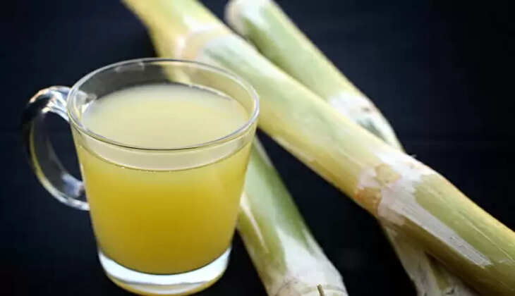 sugarcane