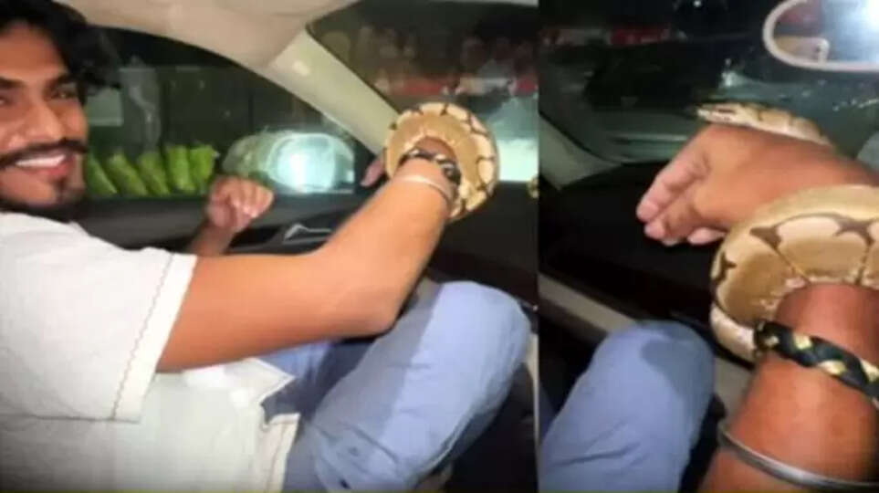 ஸ்னேக் பாபுவாக மாறிய டிடிஎப் வாசன்! மீண்டும் சர்ச்சையில் சிக்கியதால் பரபரப்பு