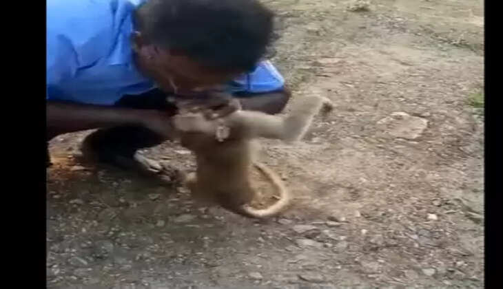 குரங்கிற்கு உதவிய பிரபு