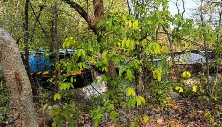 ஒடிசாவில் மற்றொரு சரக்கு ரயிலும் தடம் புரண்டு விபத்து