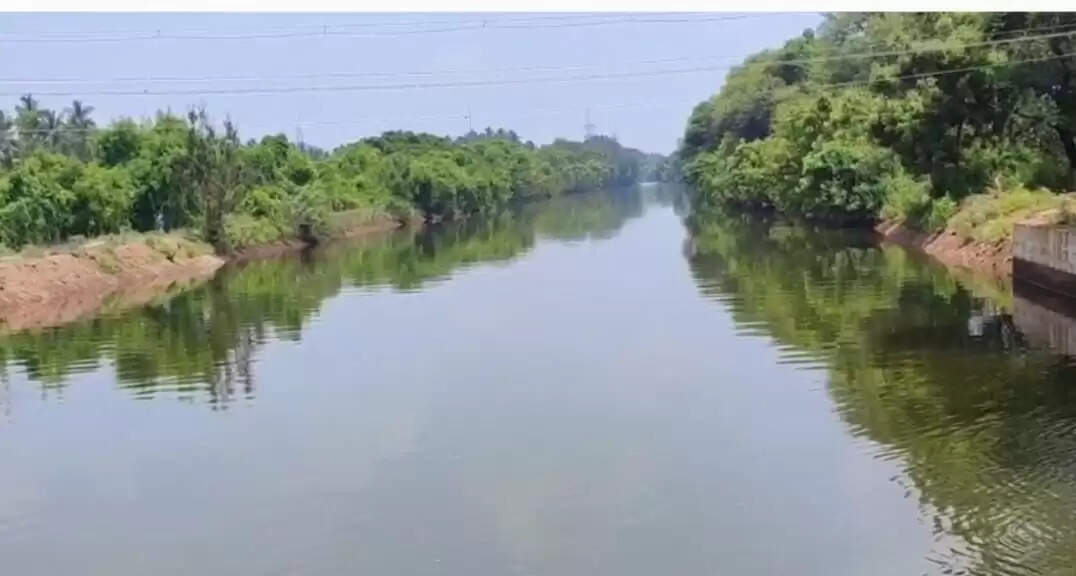 வாய்க்காலில் சடலமாக மிதந்த 6 வயது சிறுவன் - காவல்துறை தீவிர விசாரணை..