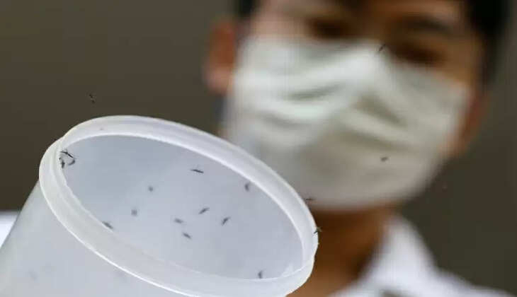 Dengue 