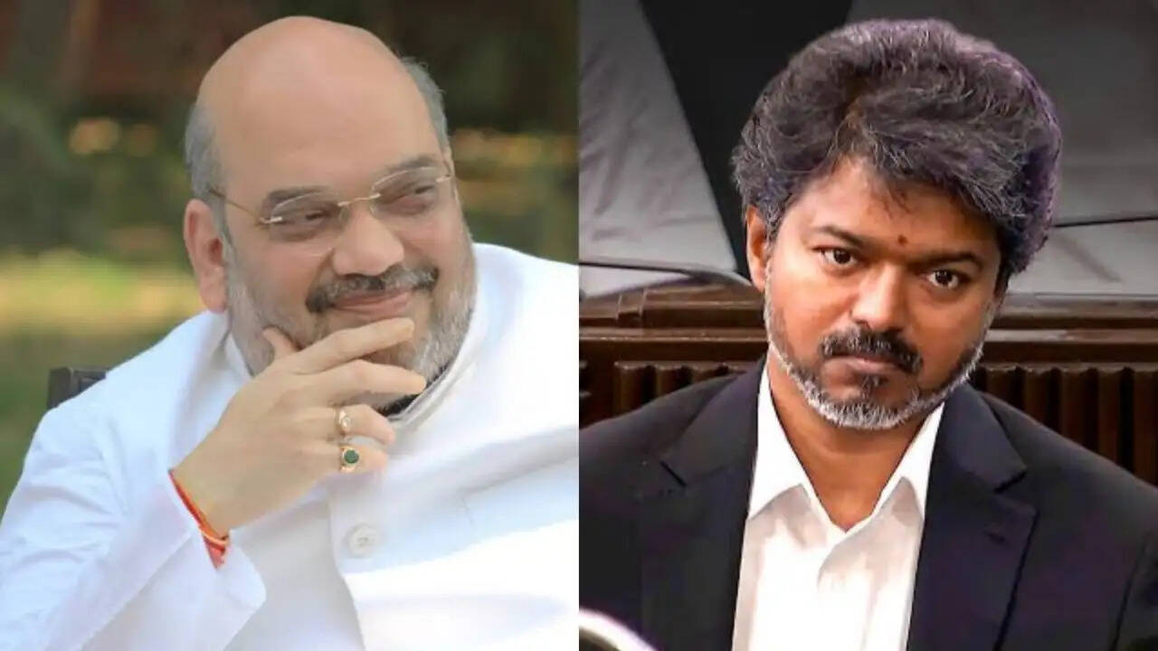 அமித்ஷாவை விஜய் சந்திக்காதது ஏன்?