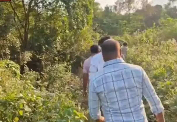 பள்ளியிலிருந்து 2 சிறுமிகள் உட்பட ஏழு பேர் வனத்திற்குள் சென்று மாயம்