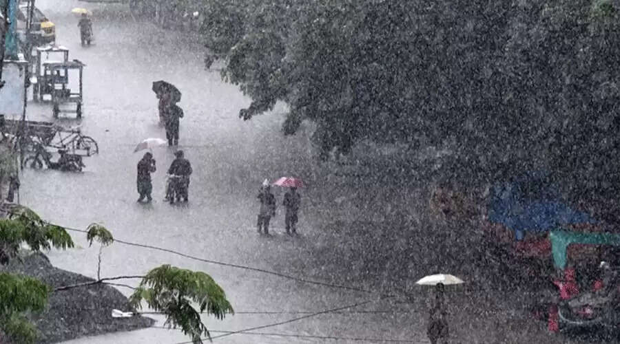 தமிழகத்தில் டிச.11 வரை மிதமான மழைக்கு வாய்ப்பு..!