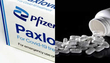 பாக்ஸ்லோவிட்