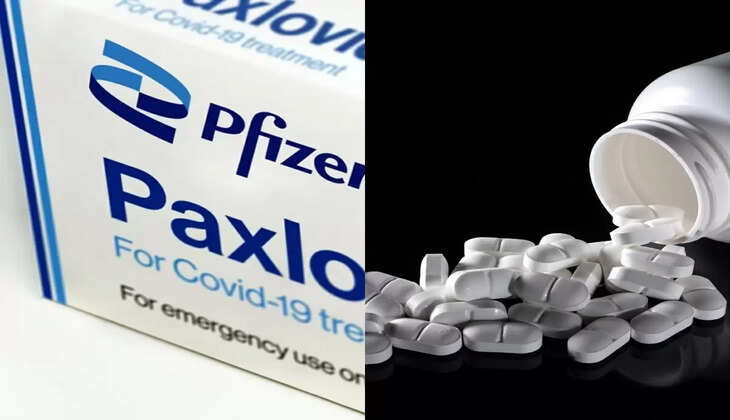 பாக்ஸ்லோவிட்