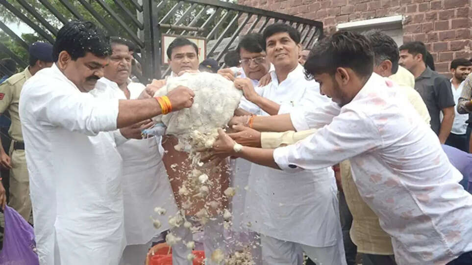 பூண்டை கொட்டும் மத்திய பிரதேச எம்.எல்.ஏ.க்கள்