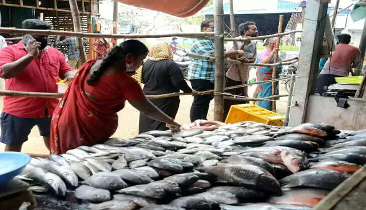 fish