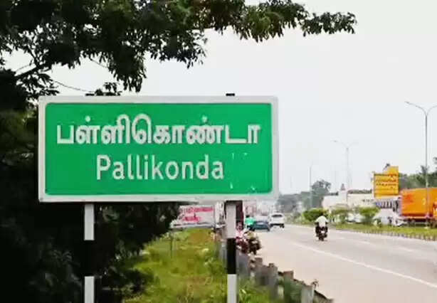 pallikonda