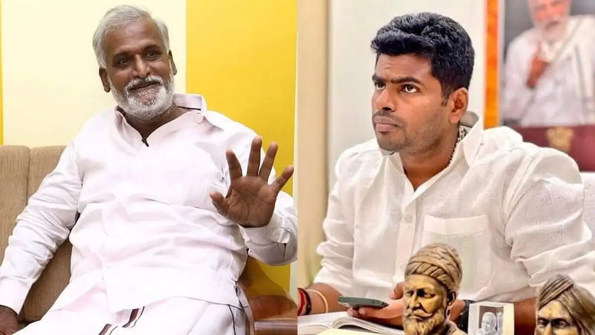 அண்ணாமலைக்கு அரசியல் தெரியாது- அமைச்சர் சேகர்பாபு