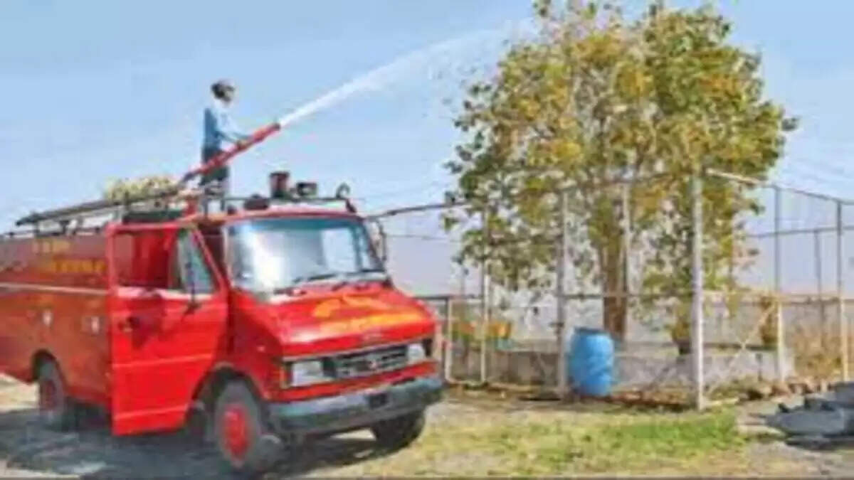 போதி மரத்துக்கு தண்ணீர் பாய்ச்சும் ஊழியர்