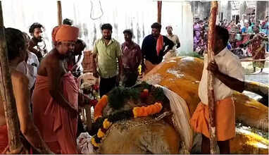 குன்றக்குடி சண்முகநாதர் கோயில் யானை உயிரிழப்பு!