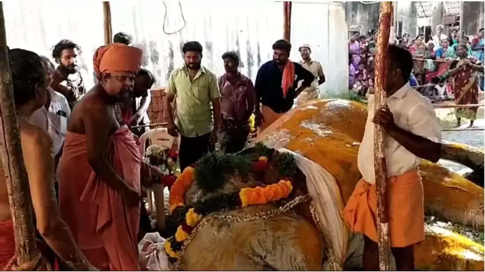 குன்றக்குடி சண்முகநாதர் கோயில் யானை உயிரிழப்பு!