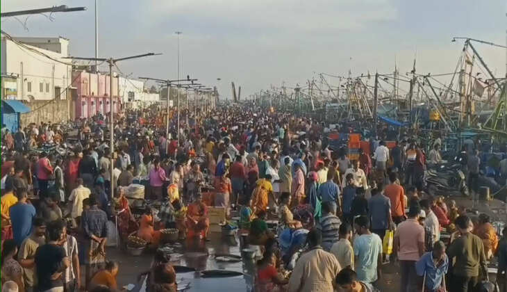 kasimedu - மீன்கள்