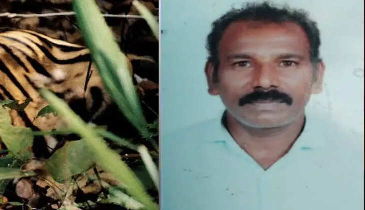 ச்