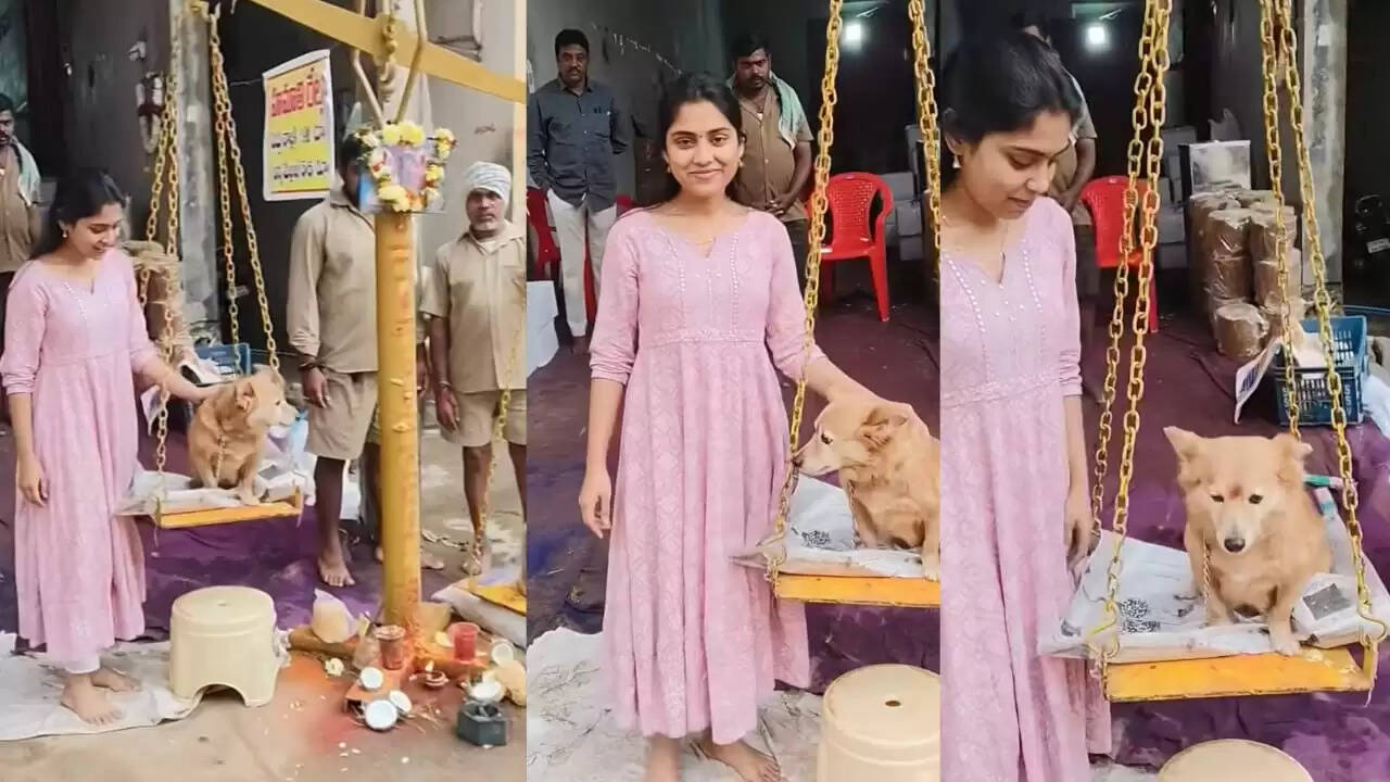 வளர்ப்பு நாய்க்கு எடைக்கு எடை வெல்லம் வைத்து காணிக்கை - நடிகையின் செயலால் சர்ச்சை