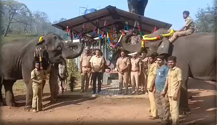 பொள்ளாச்சியில் 5 ஆண்டுகளுக்கு பின் களைகட்டிய ’யானை பொங்கல்’