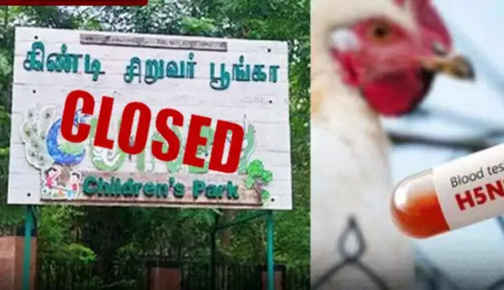 பறவை காய்ச்சல் எதிரொலி- மூடப்பட்டது கிண்டி சிறுவர் பூங்கா&nbsp;