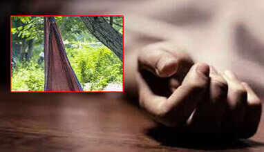 தொட்டில் சேலை