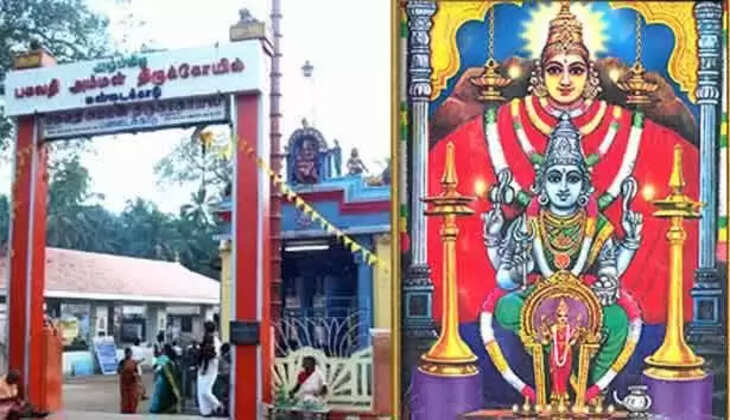 மார்ச் 8ம் தேதி  உள்ளூர் விழுமுறை : மாசிக்கொடை திருவிழாவையொட்டி கன்னியாகுமரி ஆட்சியர் உத்தரவு..