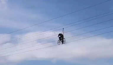 ஜீப் லைன்