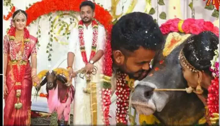 தங்கைக்கு வினோத சீர்வரிசை வழங்கிய அண்ணன்.. மானாமதுரையில் நெகிழ்ச்சி..&nbsp;