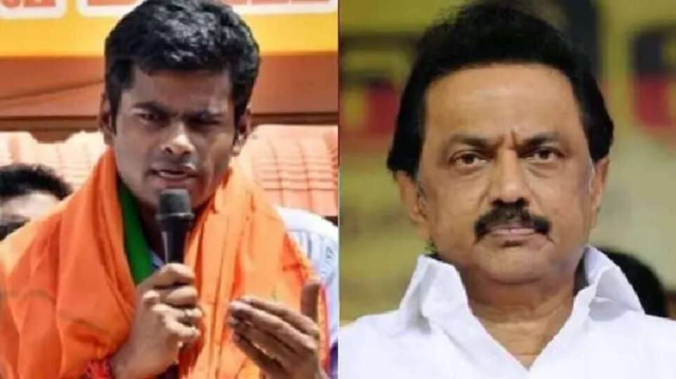 அண்ணாமலை  ஸ்டாலின்