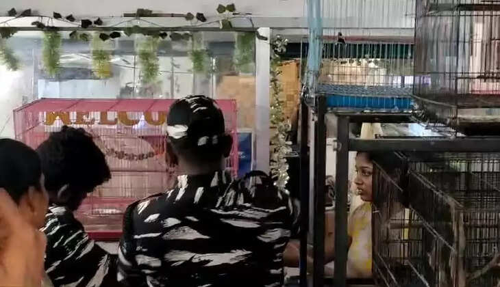 raid