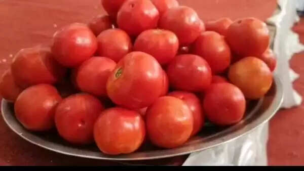 மணமக்களுக்கு தக்காளி பரிசு : கோவையில் விஜய் மக்கள் இயக்கத்தினர் குசும்பு..