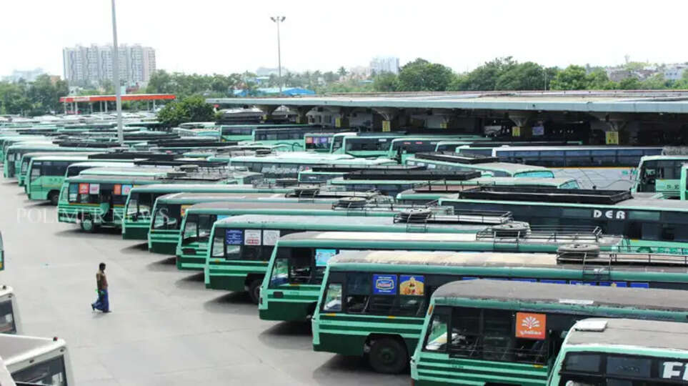  சிறப்பு பேருந்துகள் 