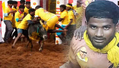 jallikattu