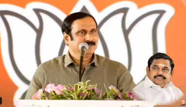 அன்புமணி