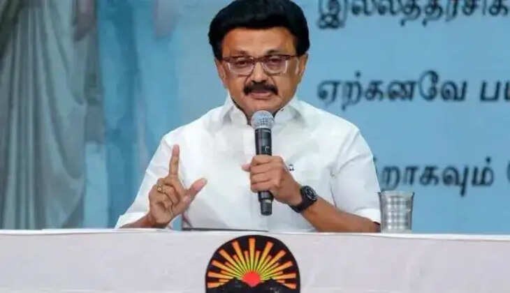 இடைத்தேர்தல்களில் அனைத்து தொகுதிகளிலும் &nbsp;திமுக தனித்து போட்டி- ஸ்டாலின் அதிரடி
