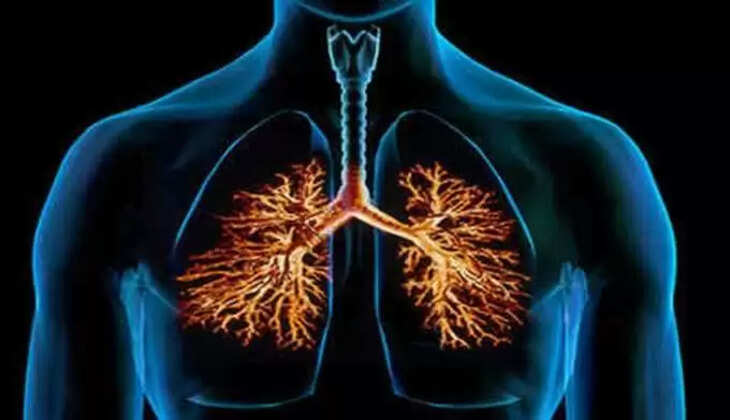 panneer side effects