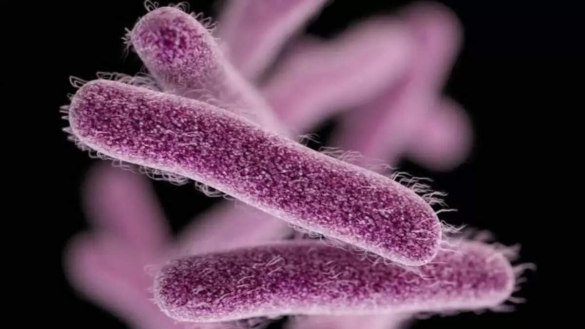 கேரளாவில் மீண்டும் தலைதூக்கும் ஷிகெல்லா வைரஸ்.. 3 சிறுவர்களுக்கு தொற்று பாதிப்பு உறுதி..