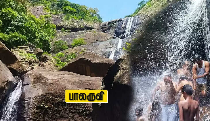 அச்