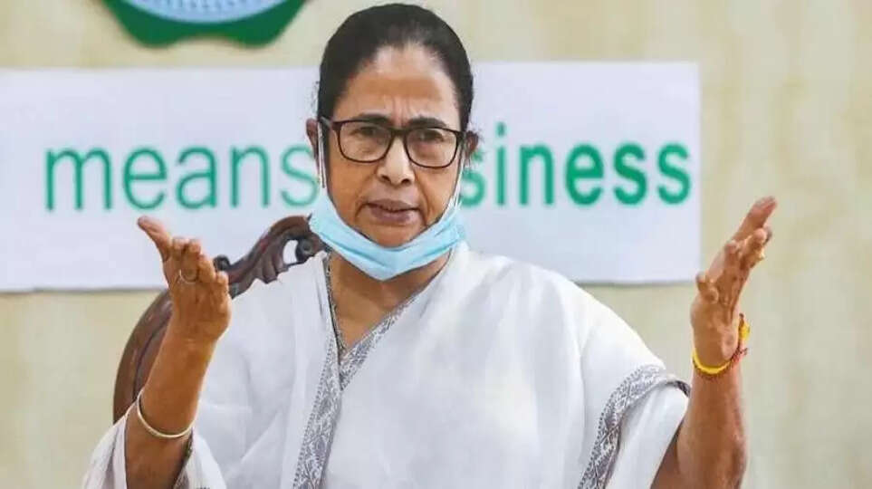 mamta banerjee
