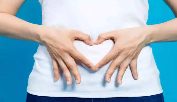stomach