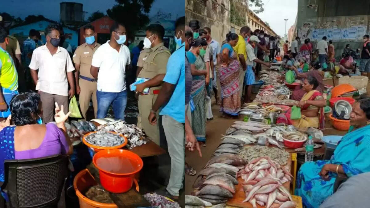 கடலூர் துறைமுகம்