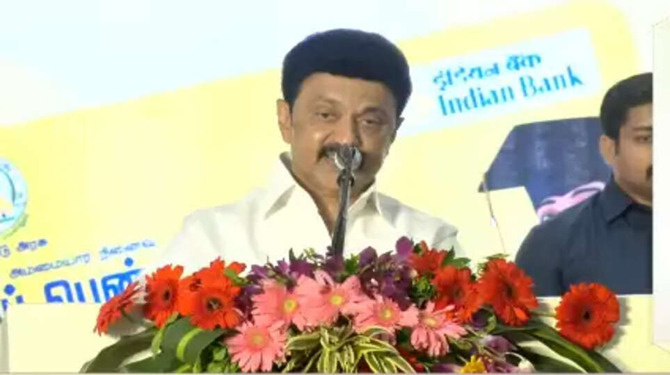 புதுமைப்பெண் திட்டம் : 25% உயர்க்கல்வி சேர்க்கை அதிகரித்துள்ளது  - முதல்வர் பெருமிதம்.. 