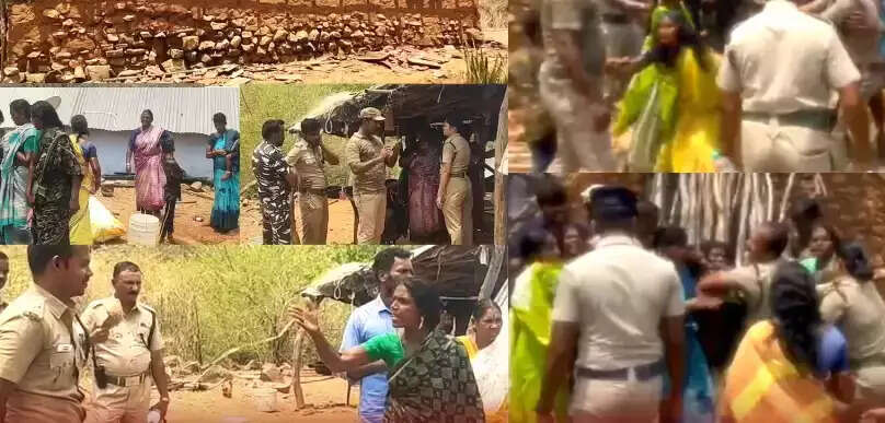 வனத்துறை